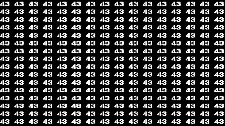 Optical Illusion Brain Challenge: If you have 50/50 Vision Find the Number 48 among 43 in 14 Secs