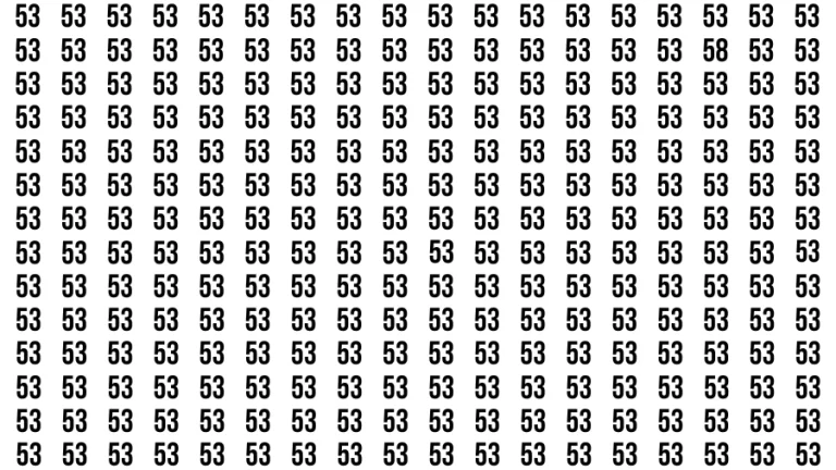 Test Visual Acuity: If you have Hawk Eyes Find the Number 58 in 15 Secs