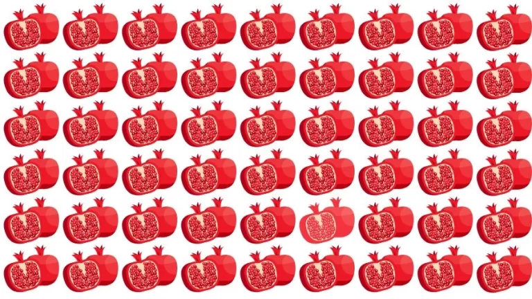 Optical Illusion Visual Test: If you have Eagle Eyes find the Odd Pomegranate in 18 Seconds