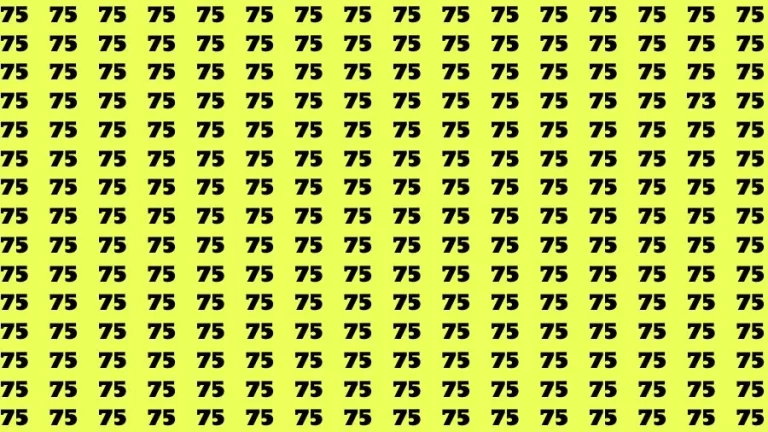 Optical Illusion Brain Challenge: If you have Hawk Eyes Find the Number 73 among 75 in 12 Secs