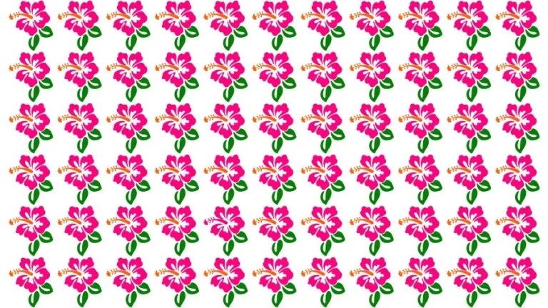 Optical Illusion Visual Test: If you have Eagle Eyes find the Odd Hibiscus in 18 Seconds