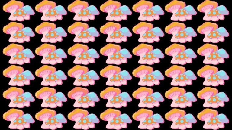 Optical Illusion Visual Test: If you have Eagle Eyes find the Odd Mushroom in 18 Seconds