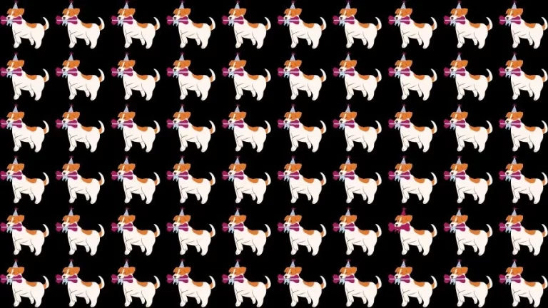 Optical Illusion Brain Challenge: If you have Eagle Eyes find the Odd Dog in 15 Seconds