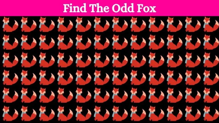 Optical Illusion Visual Test: If you have Eagle Eyes find the Odd Fox in 18 Seconds