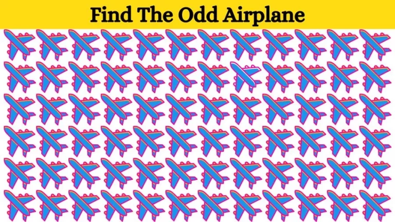 Optical Illusion Eye Test: Try to find the Odd Ice Airplane in this Image