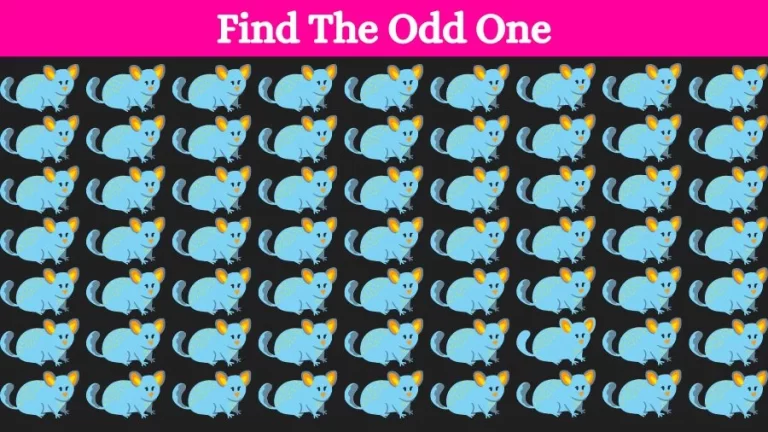 Observation Brain Challenge: Can you Spot the Odd One Out in 10 Secs?