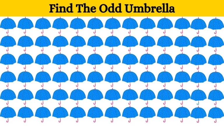 Optical Illusion Visual Test: If you have Eagle Eyes find the Odd Umbrella in 18 Seconds