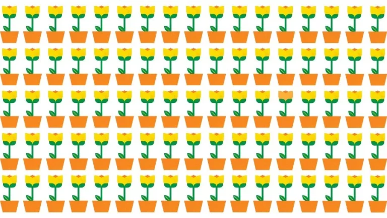 Optical Illusion Brain Challenge: If you have Eagle Eyes find the Odd Plant in 15 Seconds