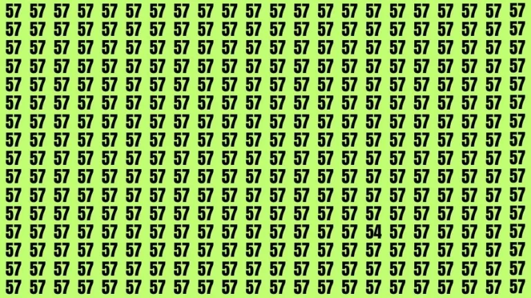 Optical Illusion Brain Challenge: If you have 50/50 Vision Find the Number 54 among 57 in 14 Secs