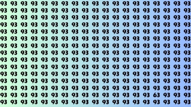 Observation Visual Test: If you have Hawk Eyes Find the Number 63 among 93 in 15 Secs