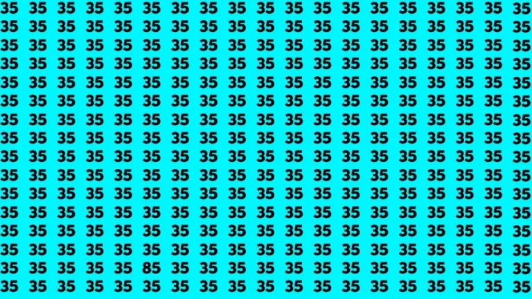 Observation Brain Challenge: If you have Eagle Eyes Find the number 85 among 35 in 12 Secs