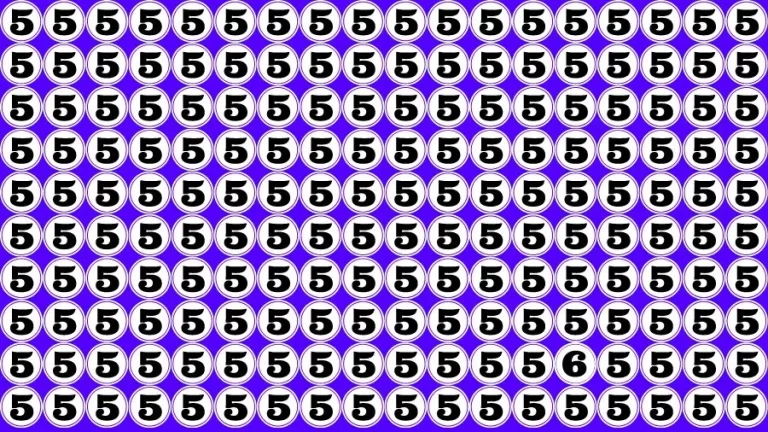 Visual Test: If you have 50/50 Vision Find the Number 6 among 5 in 15 Secs