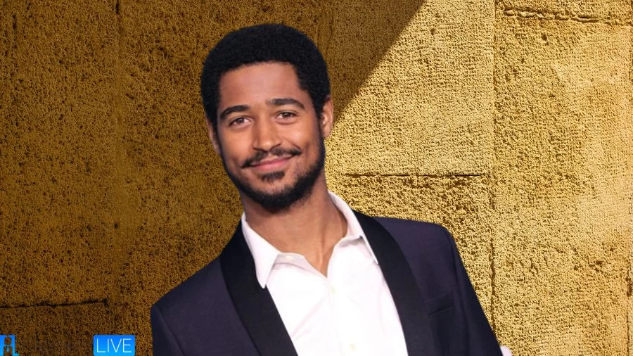 Alfred Enoch Net Worth in 2023 How Rich is He Now?