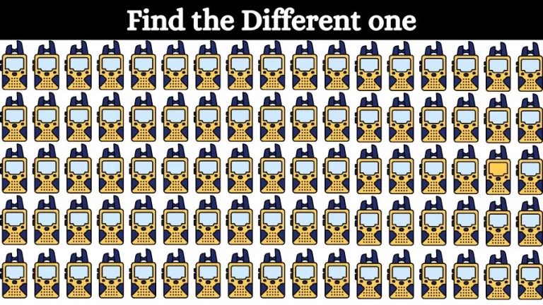 Brain Teaser: Can you Circle the Odd One Out in this Picture