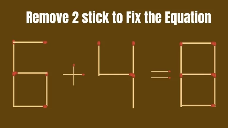 Brain Teaser IQ Challenge: 6+4=8 Remove 2 Matchstick to Fix the Equation | Matchstick Puzzles