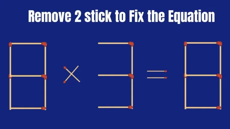 Brain Teaser IQ Challenge: 8×3=8 Remove 2 Matchstick to Fix the Equation | Matchstick Puzzles