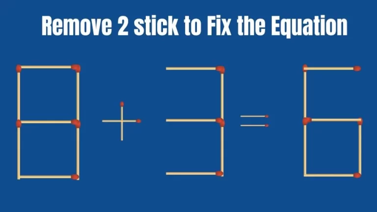 Brain Teaser IQ Test: Remove 2 Matchsticks to Fix the Equation