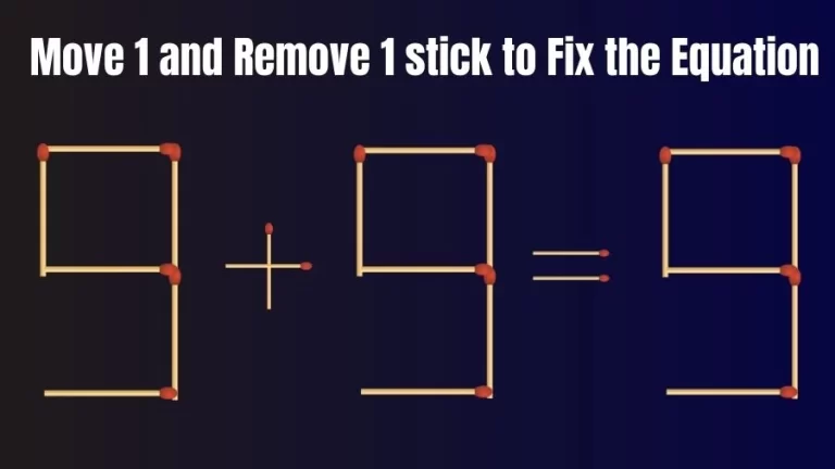 Brain Teaser Matchsticks Puzzle: 9+9=9 Move 1 and Remove 1 Stick To Fix The Equation | Matchsticks Puzzle