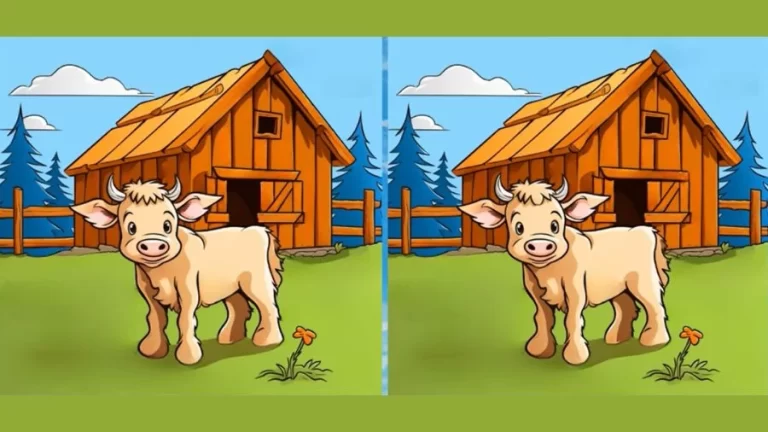 Brain Teaser Visual Test: Only a Genius Can Find the 3 Differences in less than 20 seconds!