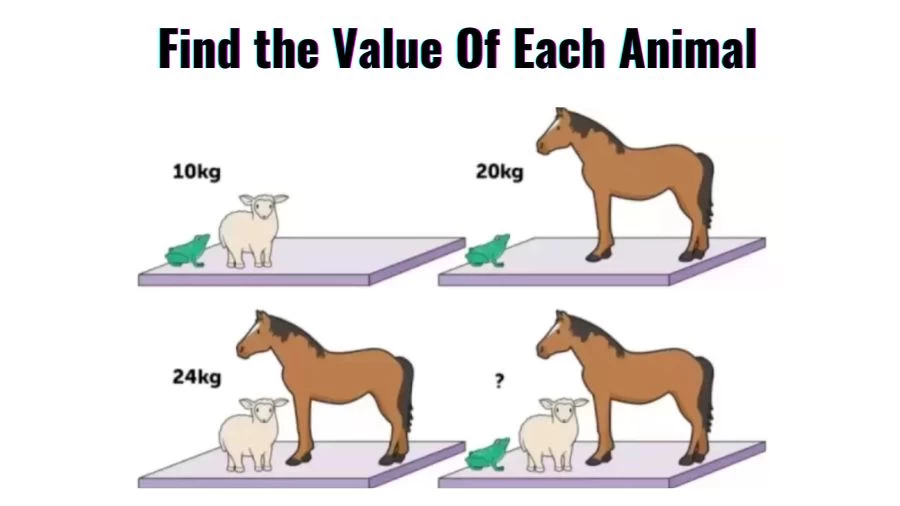 Brain Teasers for Geniuses: Find the Value Of Each Animal in 15 seconds ...