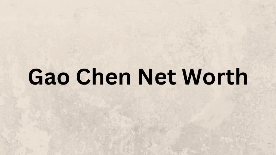 Gao Chen Net Worth in 2023 How Rich is She Now?