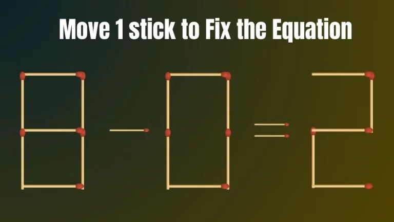 Matchstick Riddle: 8-0=2 Fix The Equation By Moving 1 Stick | Matchstick Puzzle