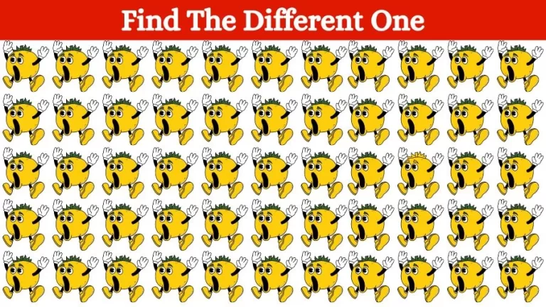 Observation Brain Test: How fast can you Spot the Odd One Out in this Image?