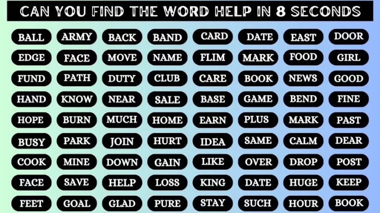 Observation Find it Out: Can you Find the Word Help in 8 Secs