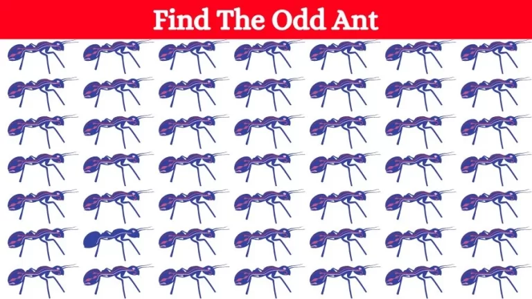 Optical Illusion Brain Challenge: Can you find the Odd Ant in 12 Seconds?