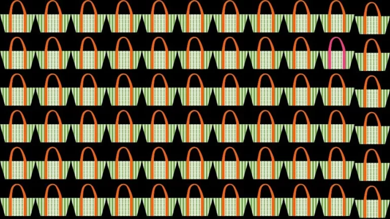 Optical Illusion Brain Challenge: Can you find the Odd Bag in 12 Seconds?