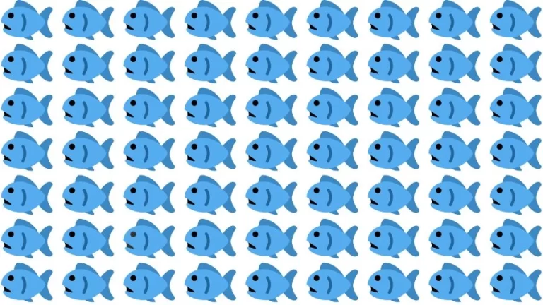 Optical Illusion Brain Challenge: Can you find the Odd Fish in 12 Seconds?