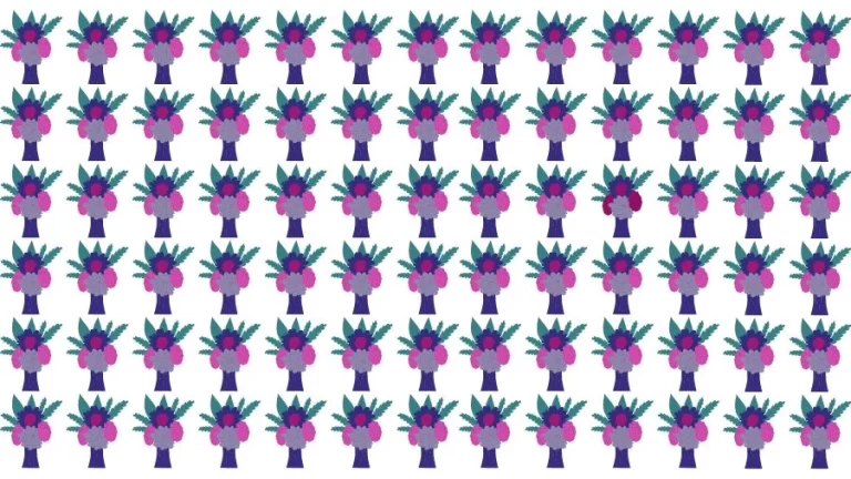 Optical Illusion Brain Challenge: Can you find the Odd Flower vase in 12 Seconds?