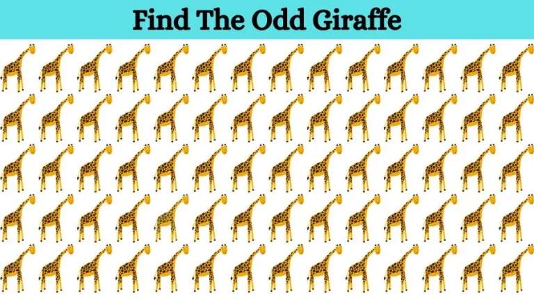 Optical Illusion Brain Challenge: Can you find the Odd Giraffe in 12 Seconds?