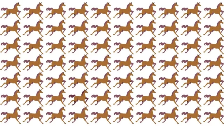 Optical Illusion Brain Challenge: Can you find the Odd Horse in 12 Seconds?