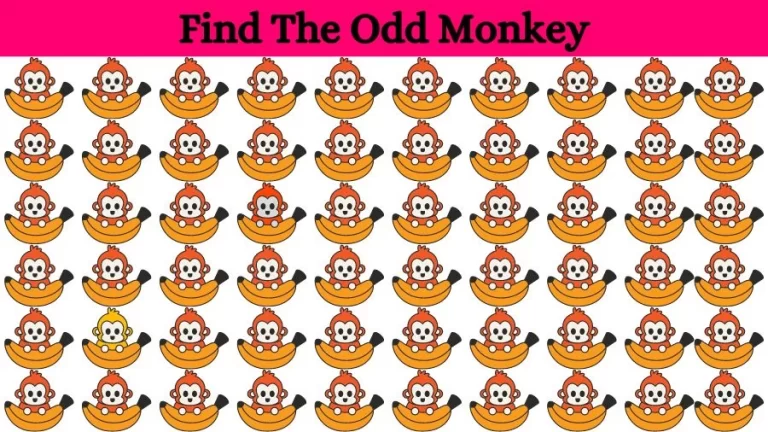 Optical Illusion Brain Challenge: Can you find the Odd Monkey in 12 Seconds?