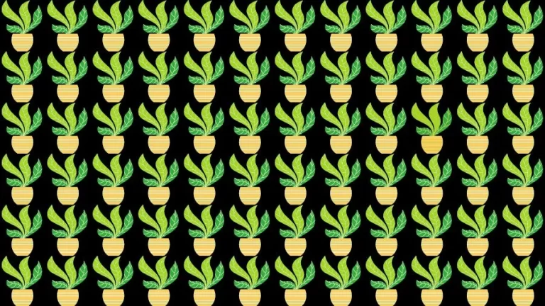 Optical Illusion Brain Challenge: Can you find the Odd Plant in 12 Seconds?