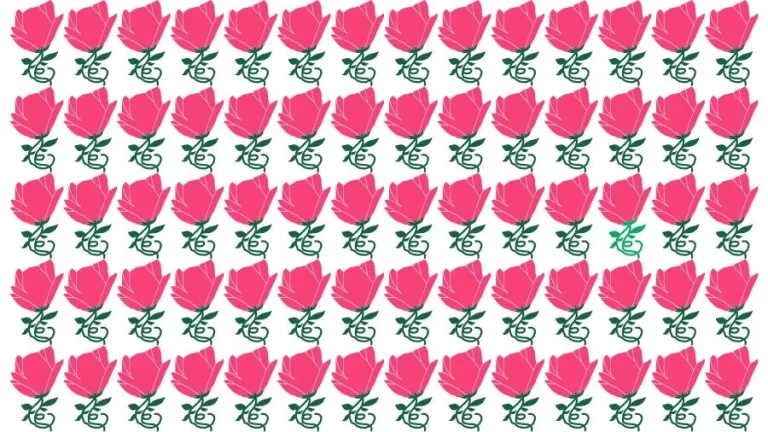 Optical Illusion Brain Challenge: Can you find the Odd Rose in 12 Seconds?