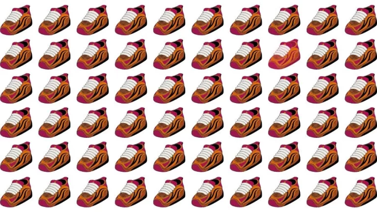 Optical Illusion Brain Challenge: Can you find the Odd Shoe in 16 Seconds?