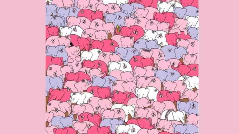 Optical Illusion Brain Challenge – Can you spot the hidden heart among the elephants in 20 secs?