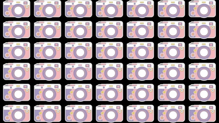 Optical Illusion Eye Test: Can you find the Odd Camera in 20 Seconds?