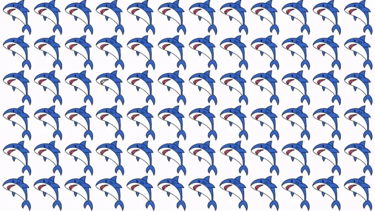 Optical Illusion Eye Test: Can you find the Odd Fish in 20 Seconds?