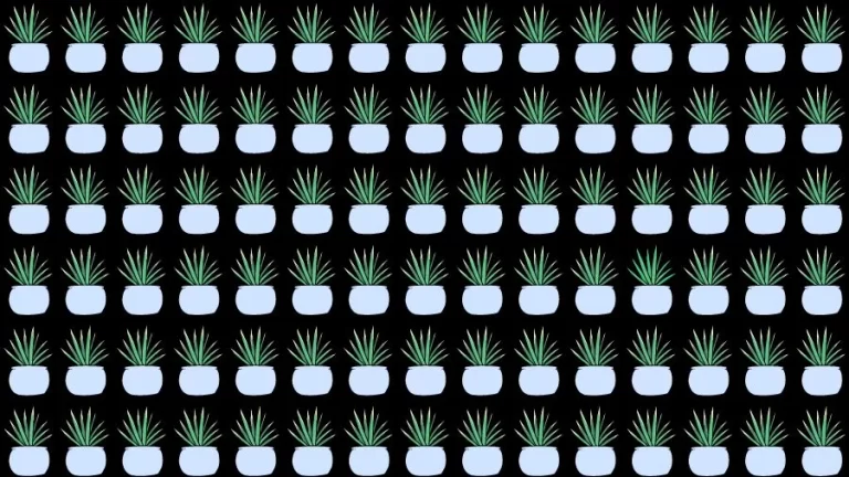 Optical Illusion Eye Test: Can you find the Odd Plant in 20 Seconds?