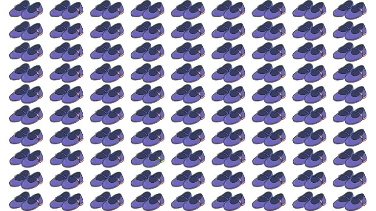 Optical Illusion Eye Test: Can you find the Odd Shoe in 20 Seconds?