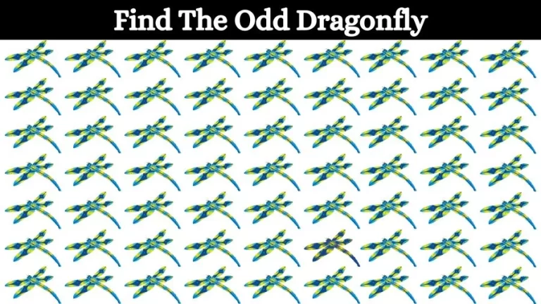 Optical Illusion Eye Test: Try to find the Odd Dragonfly in this Image