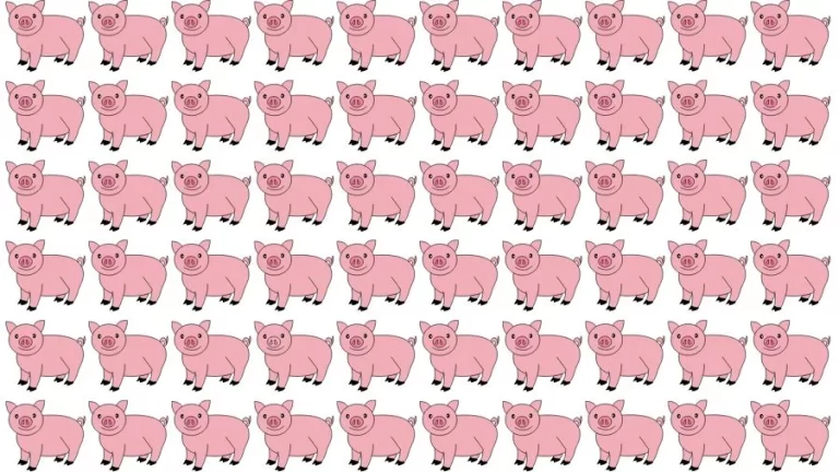 Optical Illusion Eye Test: Try to find the Odd Pig in this Image