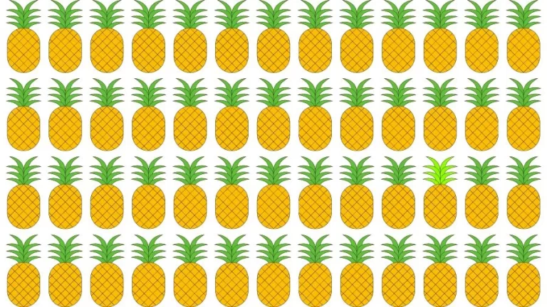 Optical Illusion Eye Test: Try to find the Odd Pineapple in this Image