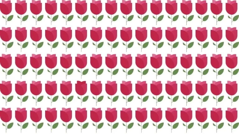 Optical Illusion Eye Test: Try to find the Odd Rose in this Image