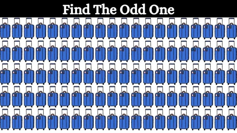 Optical Illusion Eye Test: Try to find the Odd Suitcase in this Image