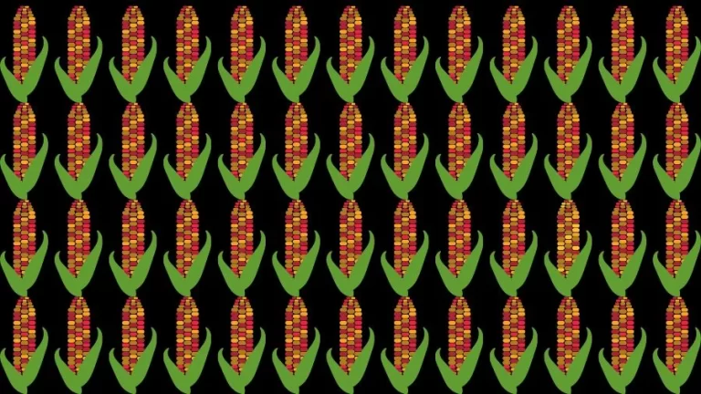 Optical Illusion Eye Test:Can you find the Odd Corn in 20 Seconds?