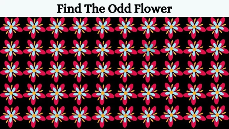 Optical Illusion: If you have Eagle Eyes find the Odd Flower in 15 Seconds